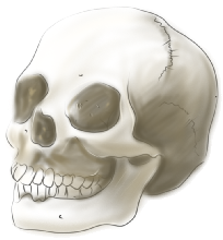 Tête de mort